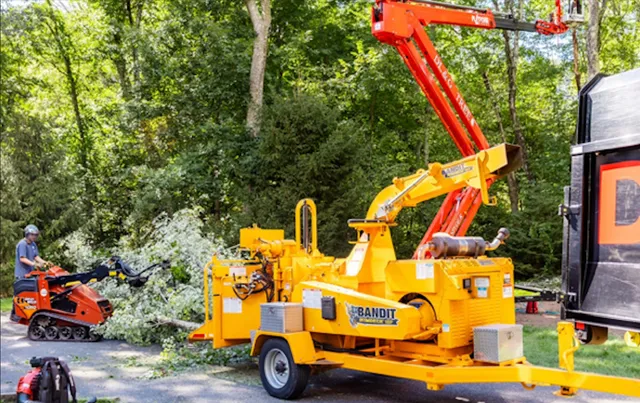 work photo from dlandgtree.com