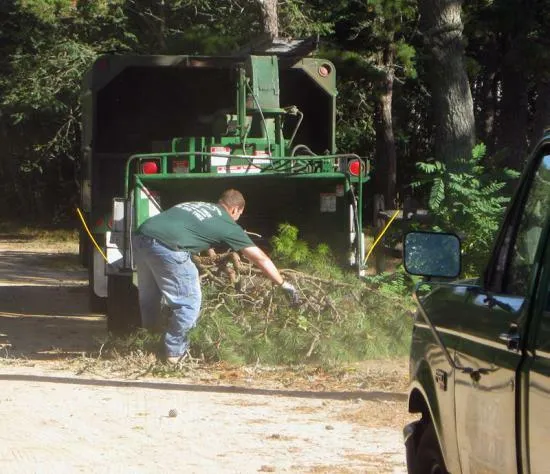 work photo from capecodtreeservices.com