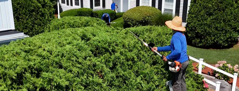 work photo from phoenixlandscapingandconstruction.com