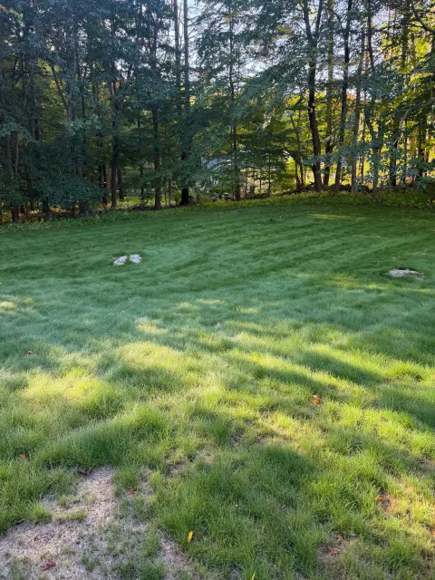 work photo from mrhydroseedlandscaping.com