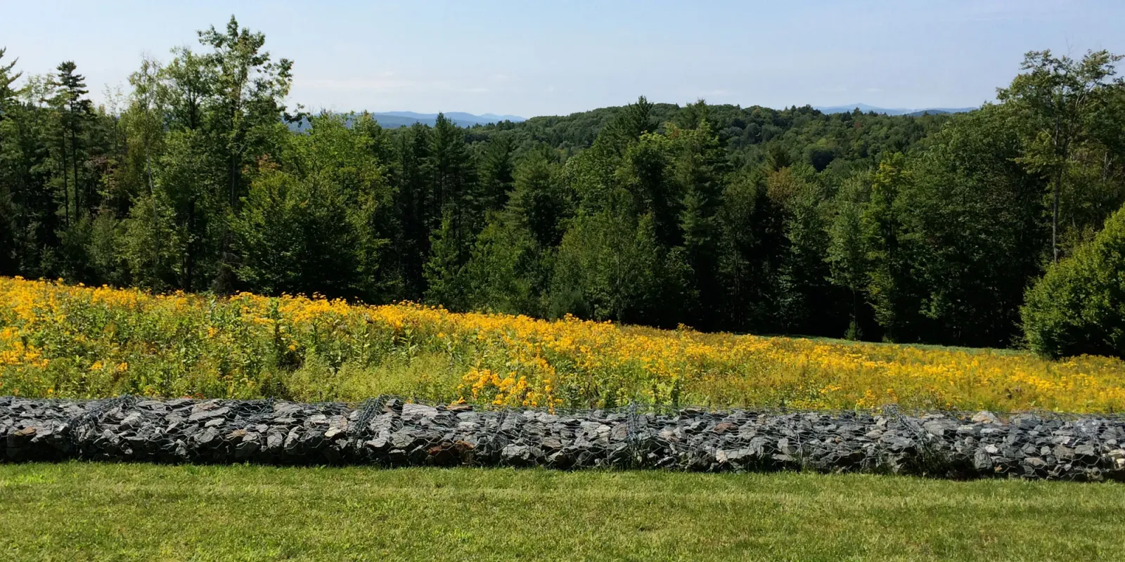 hero-vermont-1.jpg