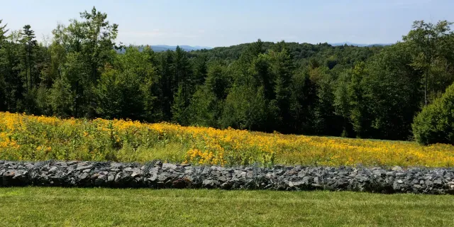 hero-vermont-1.jpg