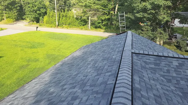 View from roof: gray shingle, black ridge, ladder. Green grass and trees in the background.