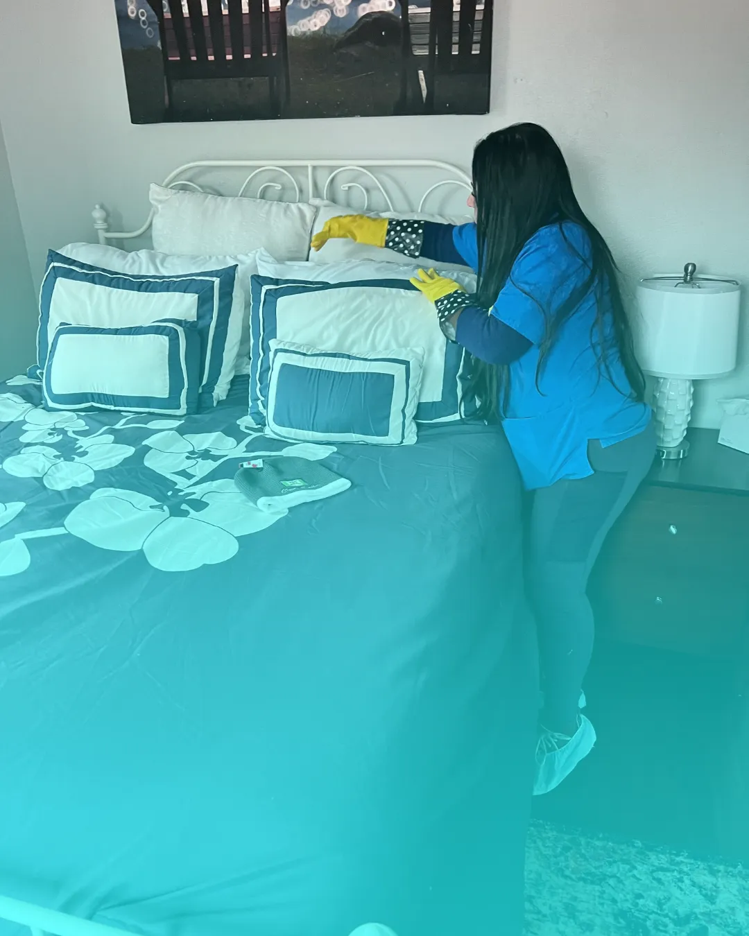 work photo from xprocleans.com