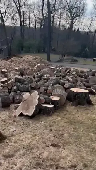 work photo from hdtreeservicesandlandscaping.com