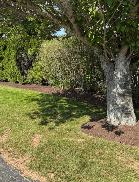work photo from orteltlandscaping.com