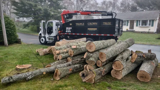 Triple Crown Tree LLC work photo