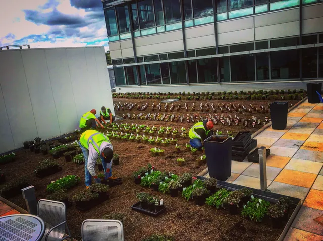 work photo from Google listing