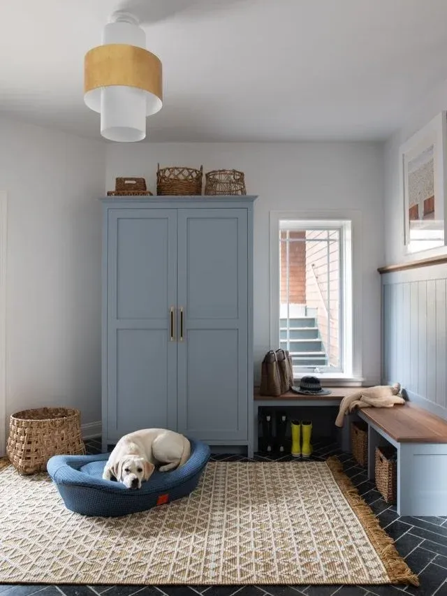 Mudrooms are no longer just a drop zone, they&rsquo;re becoming some of the hardest working spaces in the home.

From custom storage and built-ins to water bottle fillers and dedicated dog food + water stations, clients are finding smart ways to keep