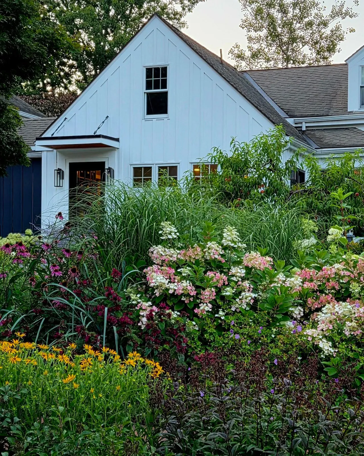 One of our favorite things is revisiting past projects and seeing the gardens in their full summer glory!  This mixed perennial bed has filled in beautifully. Trees and shrubs create the backbone of the planting, while ornamental grasses add movement and texture. Layers of colorful perennials keep the garden looking great all season long and provide a haven for pollinators, beneficial insects, and birds.  This is why we love designing gardens that only get better with time!

#GardenDesign #PerennialGarden #LandscapeDesign #GardenInspiration #AngieVergeLandscapeDesign