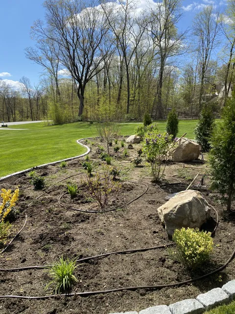 work photo from plantdesigntherapy.com
