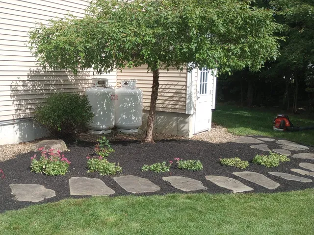 Freshly pruned and shaped ornamental crabapple tree with new mulch bed and stone path