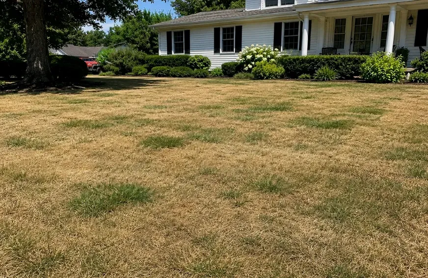 work photo from cmslandscaping.com