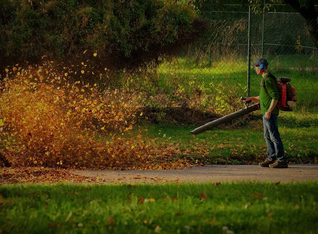 todd-wilkins-seasonal-maintenance.jpg