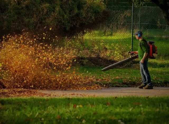 todd-wilkins-seasonal-maintenance.jpg