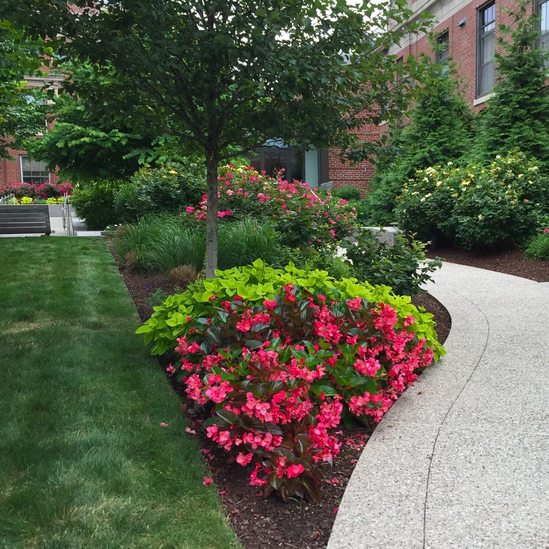 Romeiro's Landscaping
