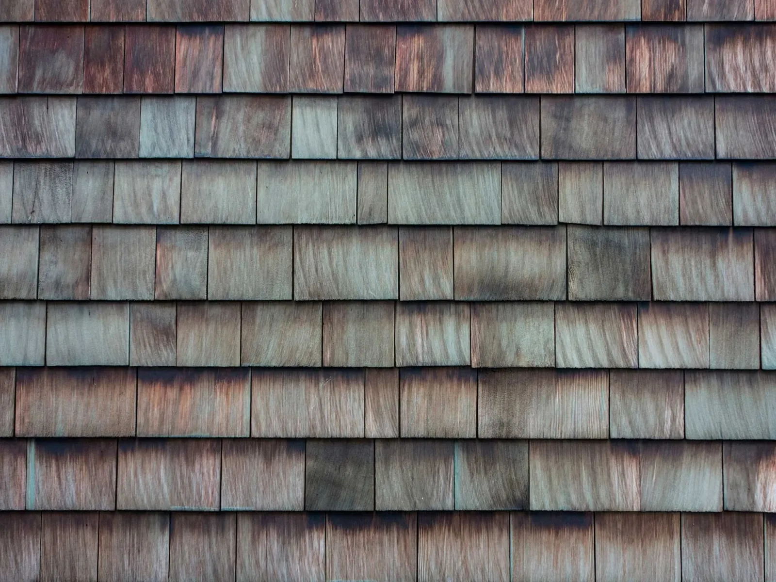kingofpowerwashingmv_roof-shingles_.jpg
