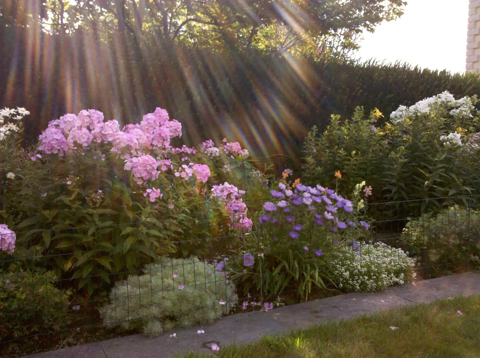 Perennial Garden Design