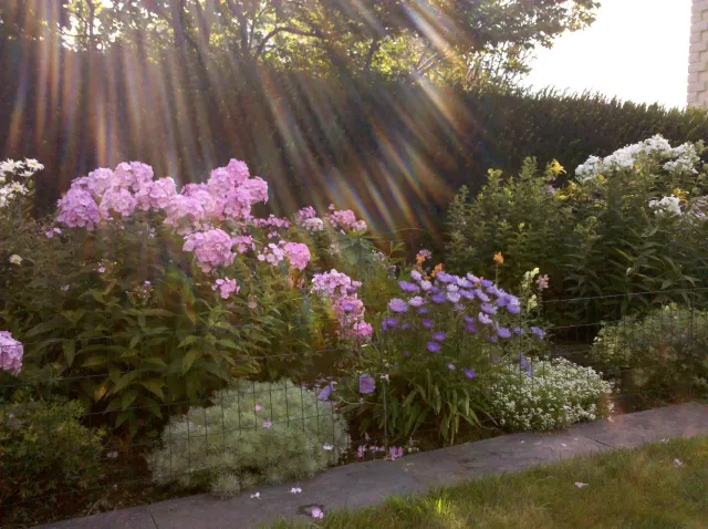 Perennial Garden Design