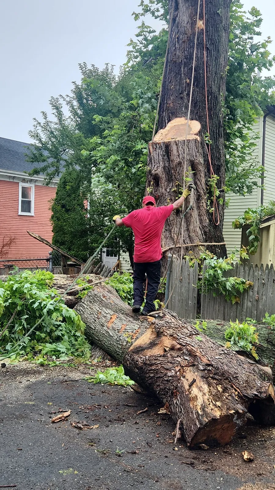 GRL Landscaping & Tree Services