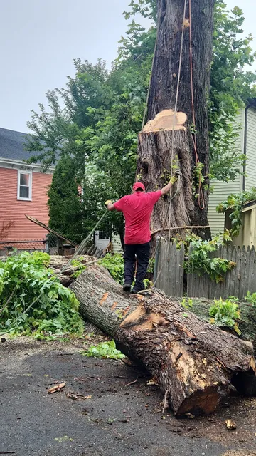 GRL Landscaping & Tree Services