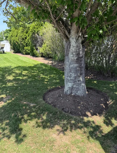 work photo from orteltlandscaping.com