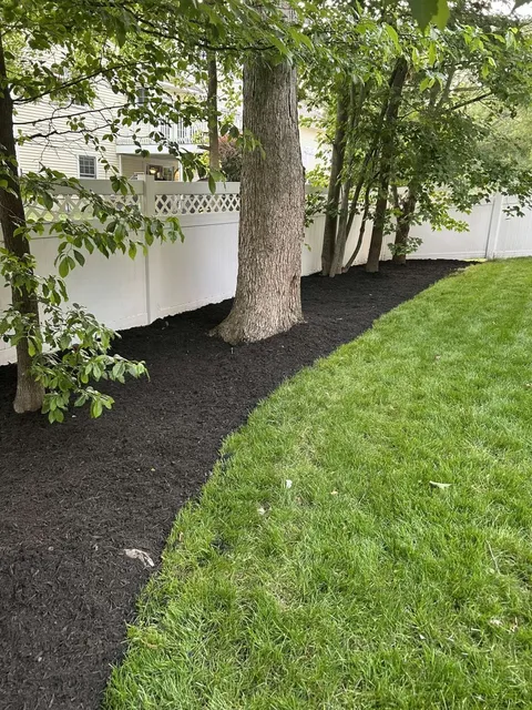 Before and after yard cleanup