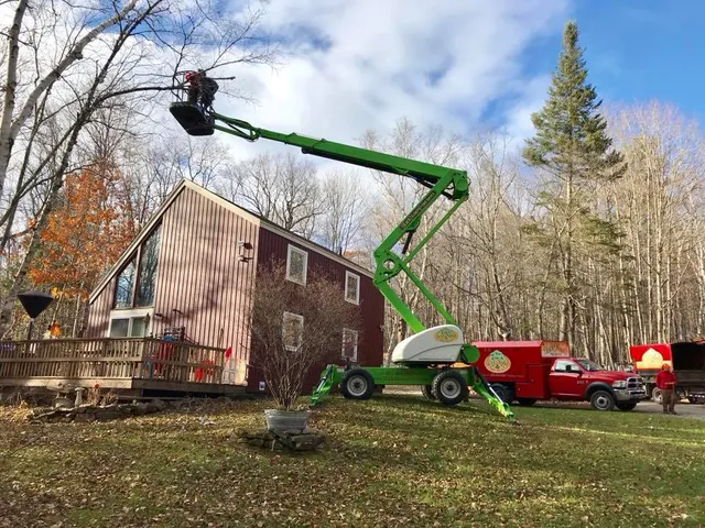 Black Diamond Tree Service work photo