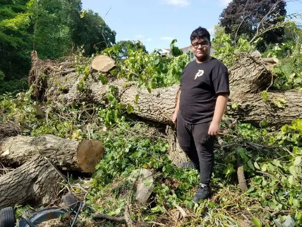 work photo from treeservice-lynn.com