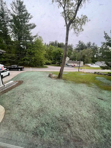 Review photo by Nick Indrisano