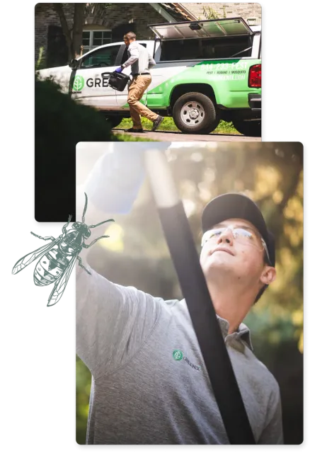 a technician treating for pests