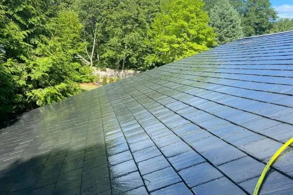 Roof Cleaning
