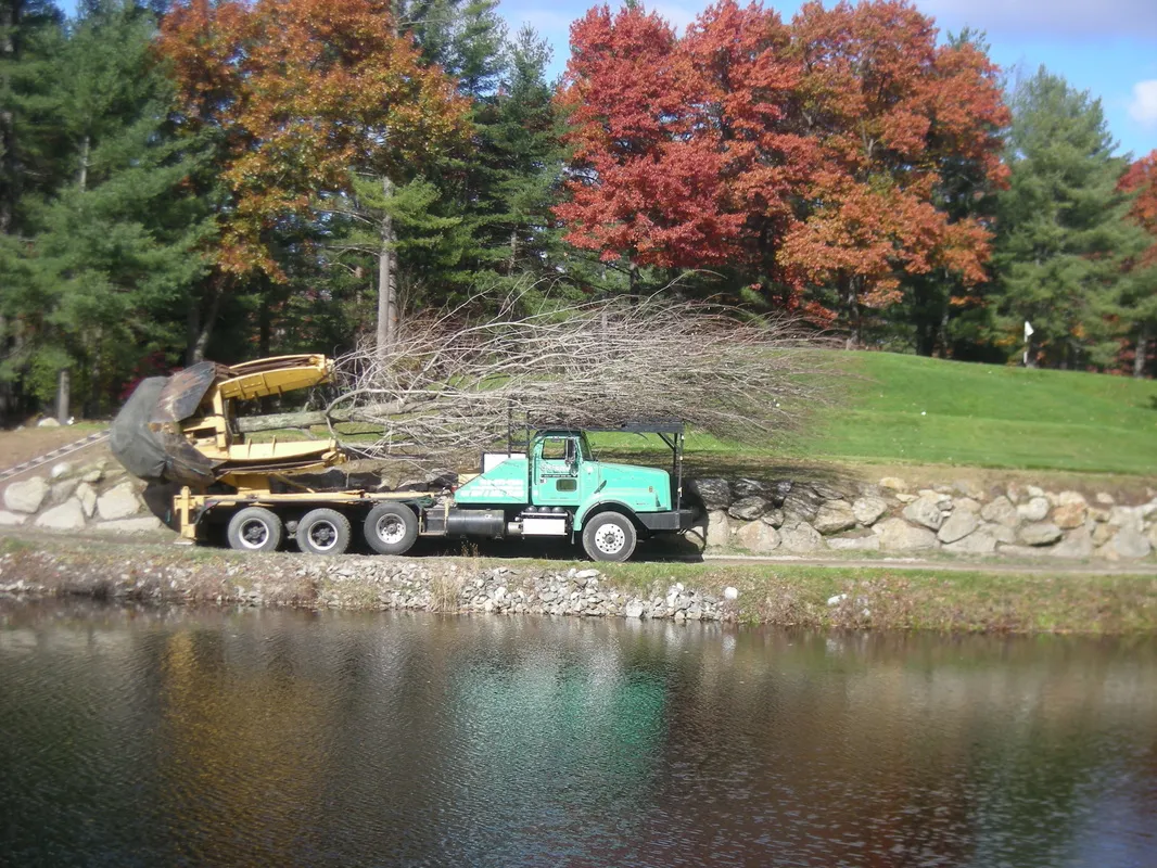 work photo from greenotreemovers.com