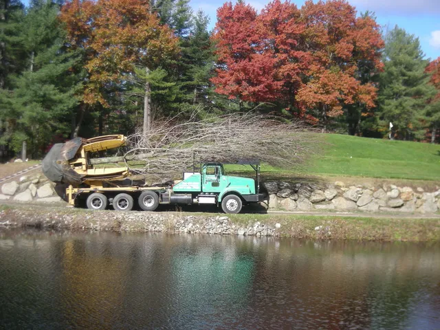 work photo from greenotreemovers.com