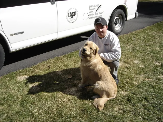 Pet Stop work photo