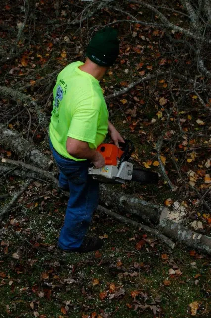 A person wearing a black beanie and neon yellow shirt using a chainsaw to cut fallen tree branches in a wooded area.