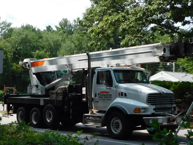 Pioneer Tree Service LLC work photo