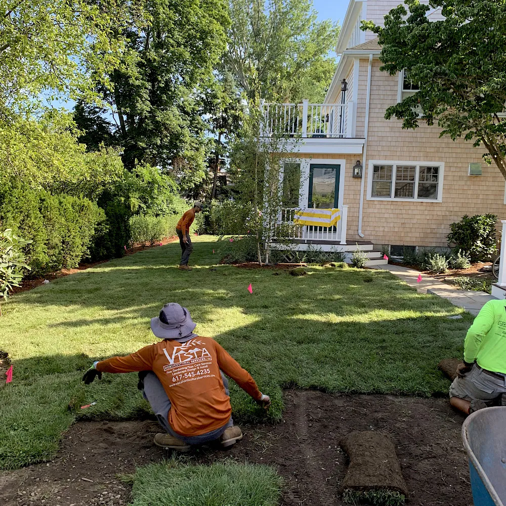 work photo from vistahorticulturalservices.com