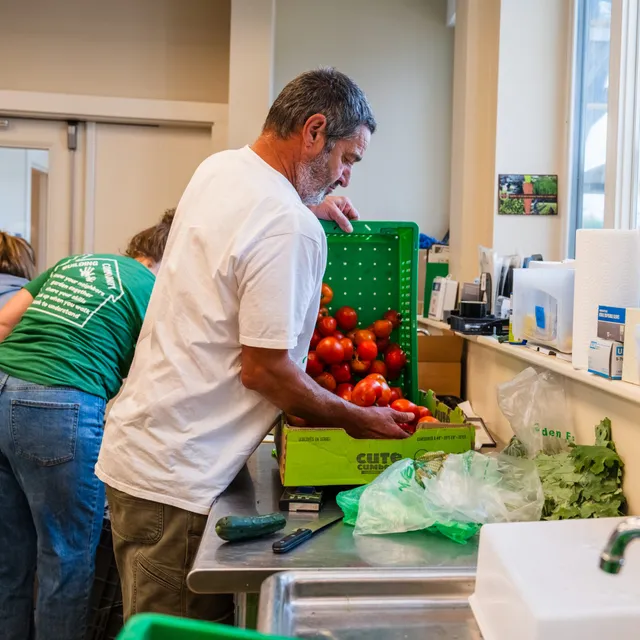 Colby & Gale team member Orville Mooney preparing fresh tomatoes for food pantry in Damariscotta, Maine.
