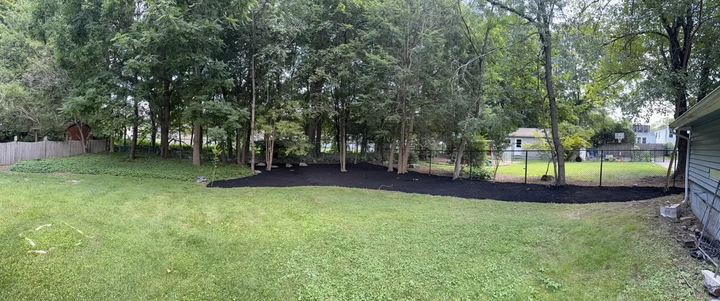 Panoramic view of the completed woodland garden bed along the property edge