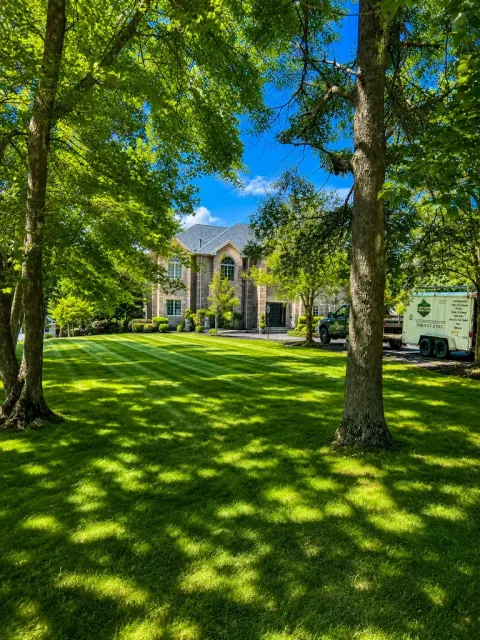 Large brick mansion viewed through mature trees with manicured lawn and clear blue sky