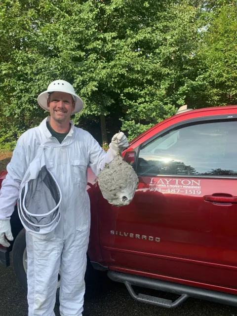 Layton Pest Control and Property Management work photo