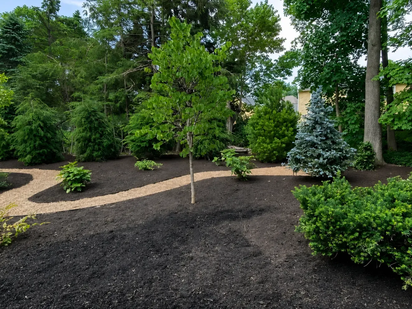 Finished residential landscape with fresh mulch, defined planting areas, and a clean garden path