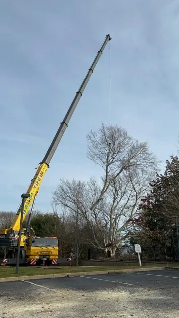 Crane Service