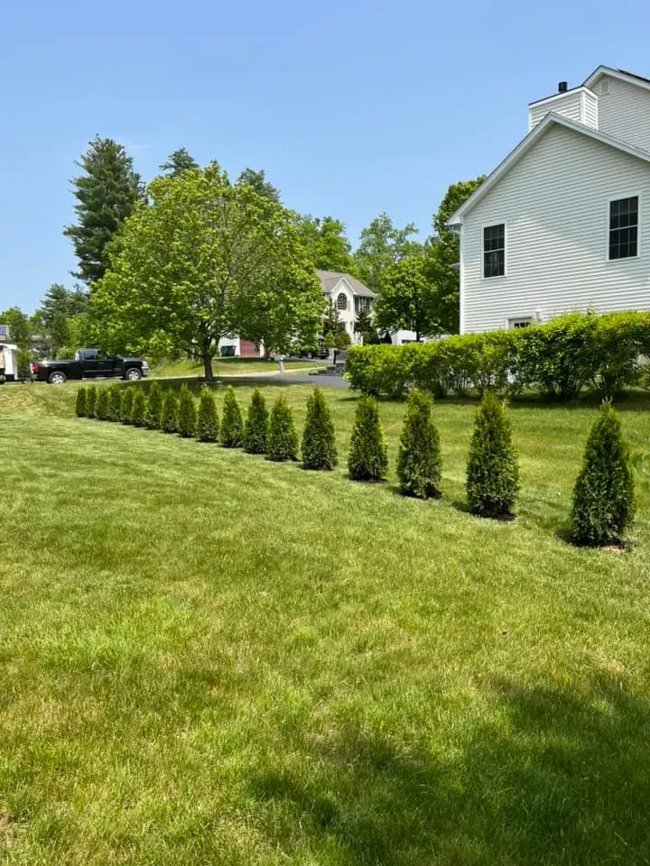 work photo from bentleysgreenscapes.com
