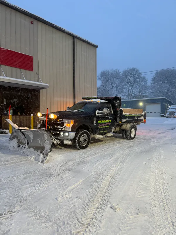 work photo from osachukslandscaping.com