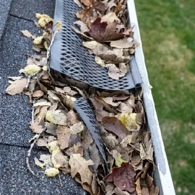 South Shore Gutter Monkeys work photo