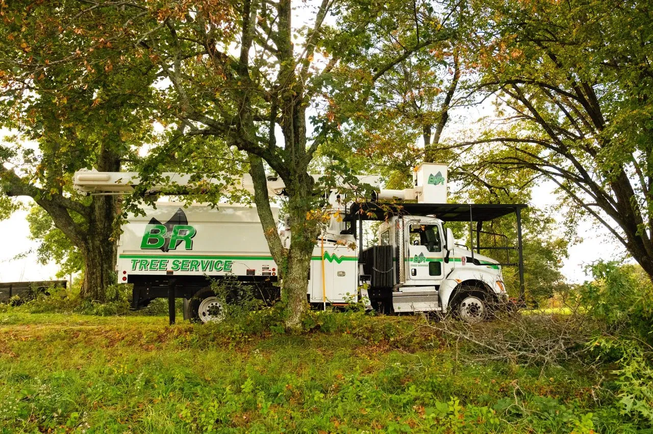 work photo from brtreeservicema.com
