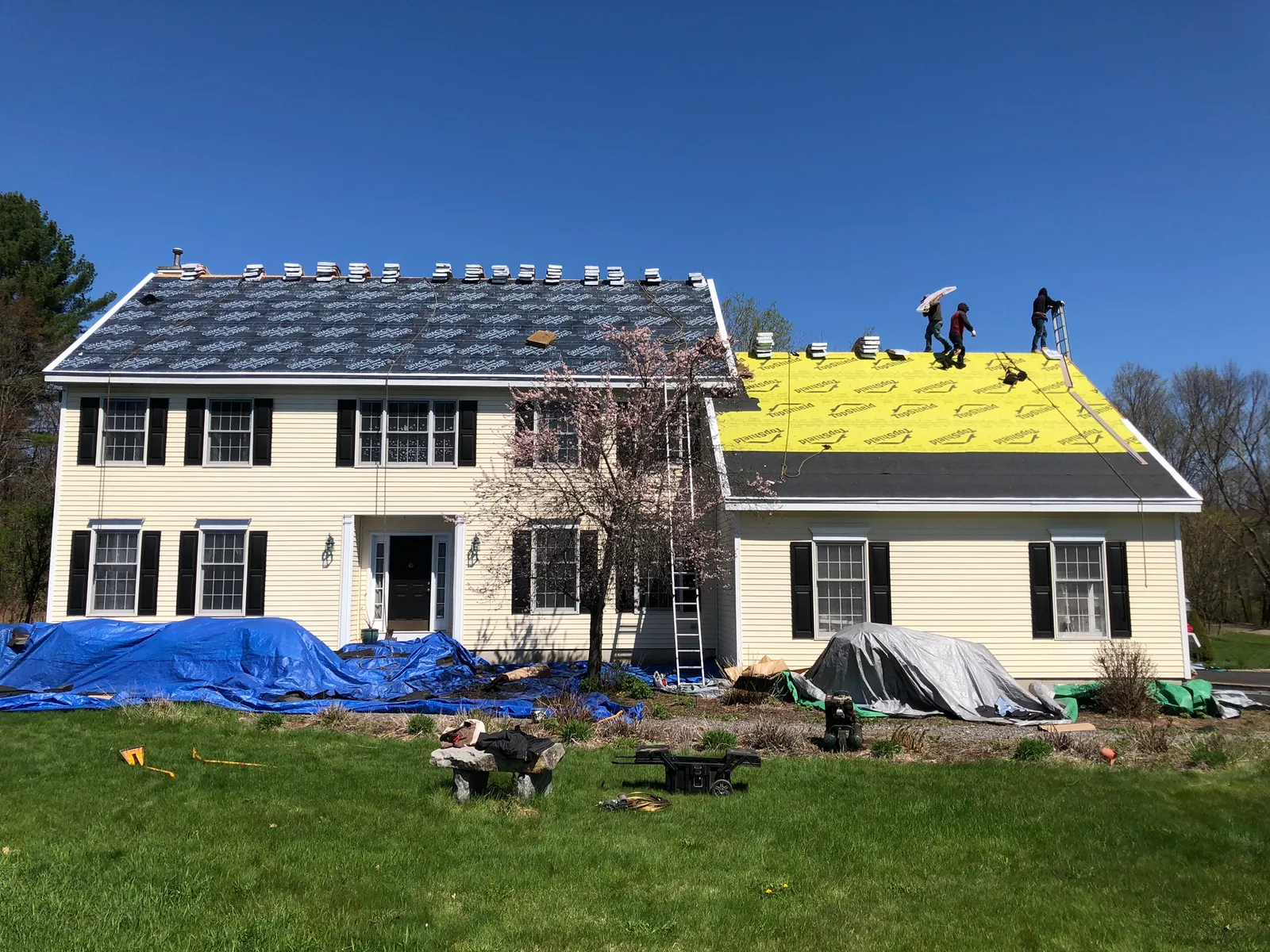 work photo from Google listing