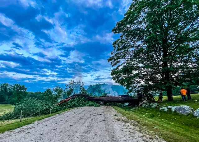 A.K.Fickett Tree work photo